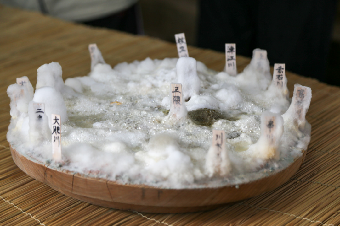 ご飯が白いカビに覆われると豊作かも 鎌倉から続く米占いとは 日本お米協会 選ばれるお米 をつくる農家コミュニティメディア